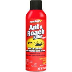 Power House - ph Ant Roach Kllr