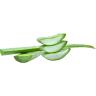 Fresh Produce - Aloe Vera Leaves