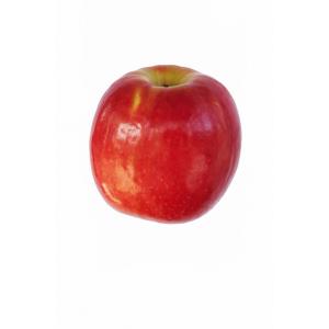 Produce - Apple Cripps Pink Pink Lady