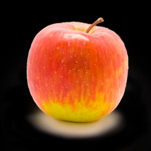 Fresh Produce - Apple Haralson Large