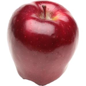 Rolo - Apple Red Delicious Extra Lar