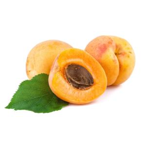 Sesame King - Apricot Large