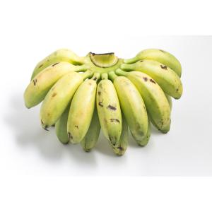 Bananas Nino