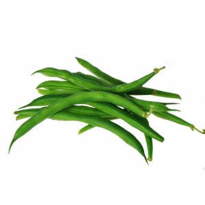 Produce - Bean Green