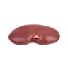 BEEF KIDNEY