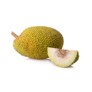 Tropical - Breadfruit