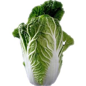 Produce - Cabbage Chinese