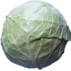 Cabbage Dutch White
