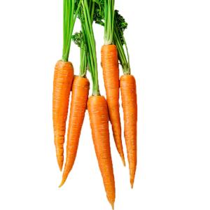 Carrot French