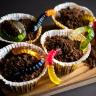 Creepy Crawler Dirt Cups - Urban Meadow