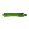 CUCUMBER SEEDLESS