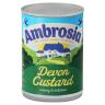 DEVON CUSTARD