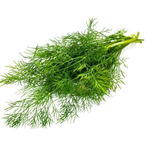 Fresh Herbs - Dill Tagged