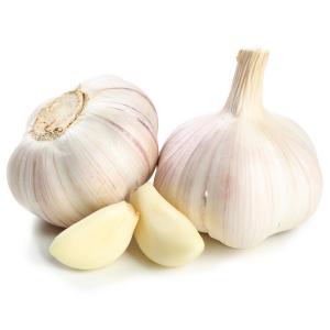 Fresh Produce - Garlic