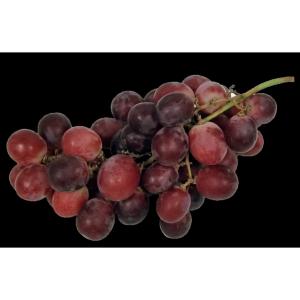 Fresh Produce - Grapes Red Globes