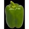 Produce - Peppers Green Jumbo 24lb