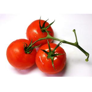 Fresh Produce - Imported Tomatoes Red Vine