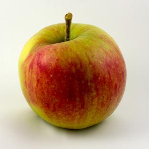Ricolino - Apple Jonagold