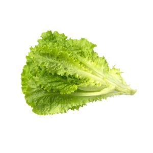 Organic Produce - Lettuce Green Leaf