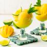 Mango Sorbet - Essential Everyday