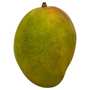 Tropical - Mangoes 8ct