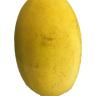 MELON CANARY