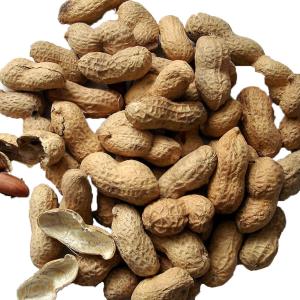 Diamond - Nuts Peanuts