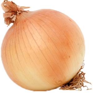 Produce - Onion Bulb