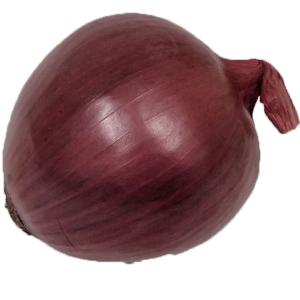 Fresh Produce - Onion Red Fresh Bun
