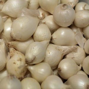 Fresh Produce - Onions Pearl