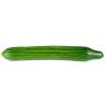 ORGANIC CUCUMBERS SEEDLESS