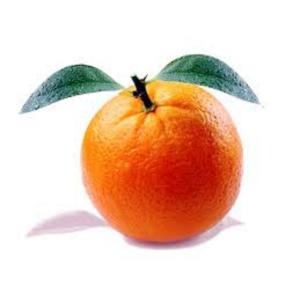 Fresh Produce - Organic Sour Oranges