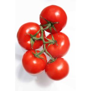 Organic Produce - Organic Tomatoes on the Vine