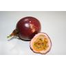 PASSION FRUIT