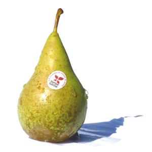 Fresh Produce - Pear Conference
