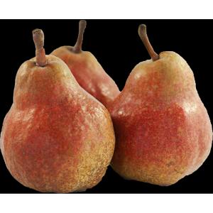 Produce - Pear D Anjou Red