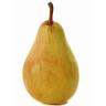 PEAR GUYOT