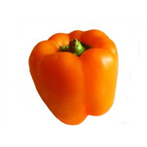Fresh Produce - Pepper Orange