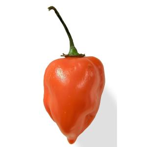 Produce - Peppers Habenero