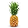 PINEAPPLE 6CT