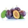 Produce - Plum Italian Prune Produce - Plum Italian Prune