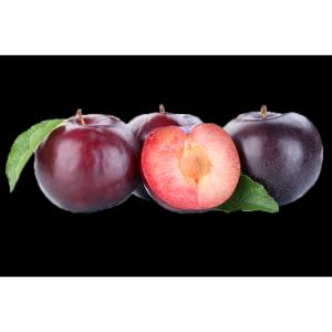 Fresh Produce - Large Red Plums