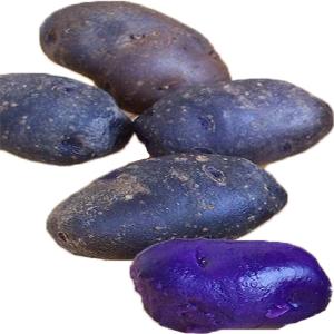 California - Potato Potato Purple