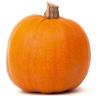 PUMPKIN DECORATIVE