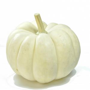 Fresh Produce - Pumpkin Mini White