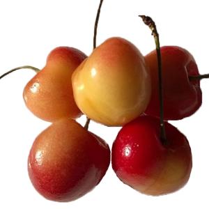 Fresh Produce - Cherry Ranier