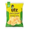 SALT VINEGAR CHIPS
