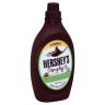SIMPLY 5 CHOCOLATE SYRUP