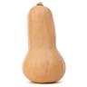SQUASH BUTTERNUT