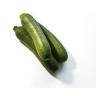 Fresh Produce - Squash Zucchini